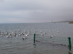-青海湖国家重点风景名胜区