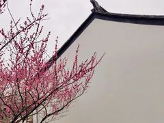 -苏州古运河游船(新市桥码头)