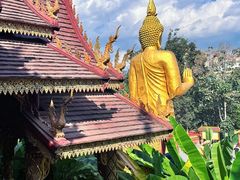 -西双版纳总佛寺