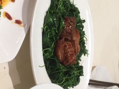 老正兴菜馆(福州路店)-老正兴菜馆(福州路店)