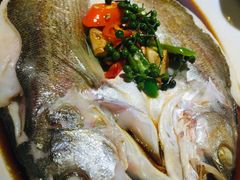 -绿茶餐厅(华联万柳店)