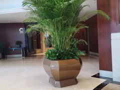 -上海圣淘沙万怡酒店