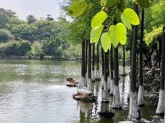 -东莞市可园博物馆