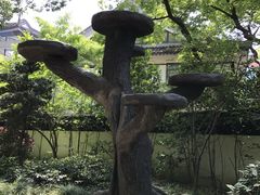-汇龙潭