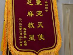 -瑞鹏宠物医院·骨外科·心肾科·肿瘤科(九亭店)