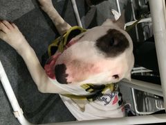 iphone_upload_pic-东浩兰生上海世博展览馆