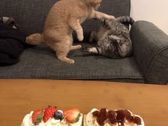 -胖爸爸烘焙工作室(平湖家居店)