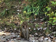 -重庆雨台山风景区