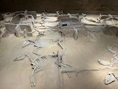 -洛阳周王城天子驾六博物馆