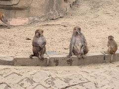 -哈尔滨北方森林动物园
