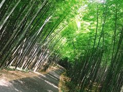 -苏州环秀晓筑养生度假村