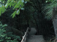 -黄山翡翠谷景区