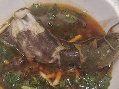 -胖师鱼馆非遗砂锅雅鱼(大北街店)