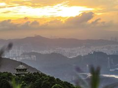 -梧桐山风景名胜区