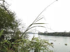 -扬美古镇景区