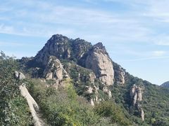 -大岭沟猕猴桃谷风景区
