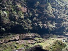 -碧峰峡风景区