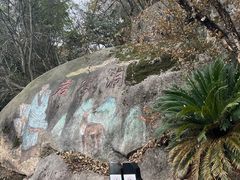 -长沙黑麋峰国家森林公园