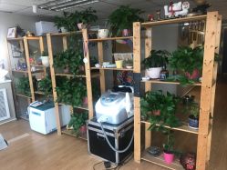 点击看大图 -英刺青 纹身 洗纹身