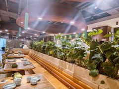 -云海肴·汽锅鸡·云南代表菜(曲江大悦城店)