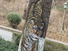 -北岭山森林公园