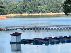 -广州市流溪河国家森林公园