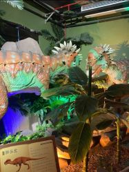 -恐龙探索乐园(磁器口店)