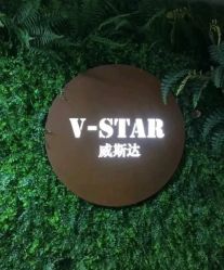 -V-STAR威斯达•高级私人定制