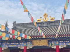 -西安市广仁寺