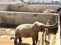 -西霞口神雕山野生动物世界