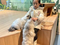 -巴克创奇梦工厂