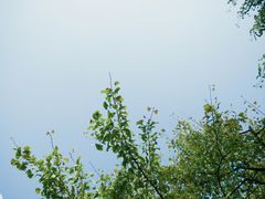 -兰溪青年公园