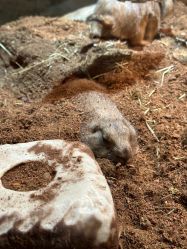 -Zoolung Zoolung动物主题公园(海信广场店)