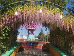 -青岛方特梦幻王国