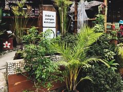 -Jungle Kitchen