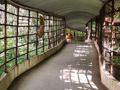 -哈尔滨北方森林动物园