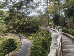 -国恩寺