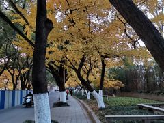 -天虹购物中心(石路店)