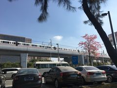 -宝安西湾红树林湿地公园