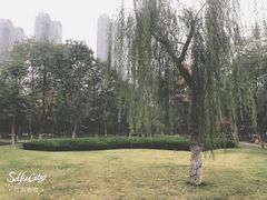 -后襄河公园