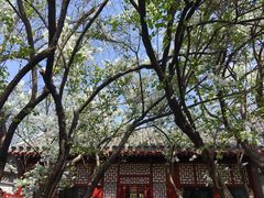 -北京鲁迅博物馆(北京新文化运动纪念馆鲁博馆区)