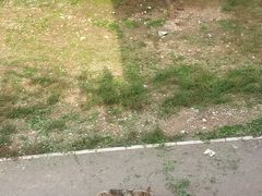 -大青山野生动物园