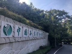-中国茶叶博物馆(双峰馆区)