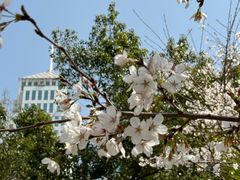 -西北湖绿化广场