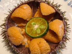 -连鹭海鲜·海肠捞饭·海胆饭(星海店)