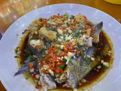 -全乐鱼馆·淳牌有机鱼直营店