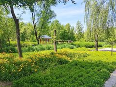 -野鸭湖国家湿地公园