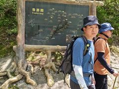 -王顺山国家森林公园