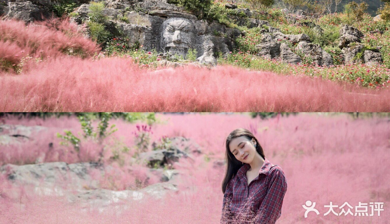 粉黛成海🔥重庆周边又有新秘境👉🏻叠石花谷