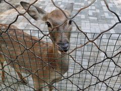 -长白岛森林公园